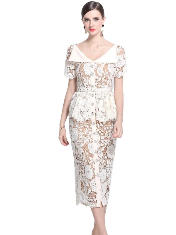 616u908gbjL.jpg Womens Elegant Temperament Lapel Short Sleeved Lace Hollow Out Dress Slim Waist Dress