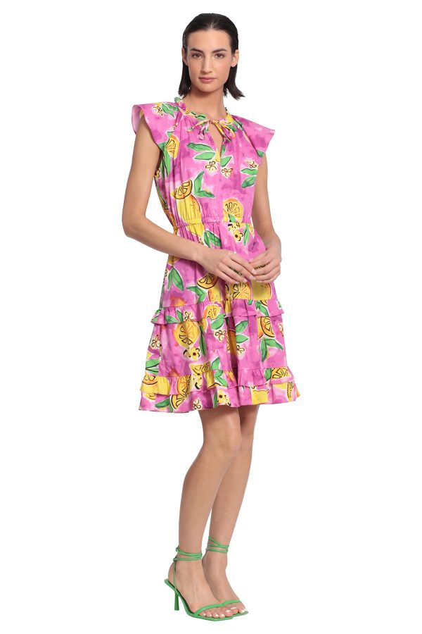 71gA5QhkP2L.jpg Women's Colorful Printed Cotton Poplin Dress with Tiered Skirt