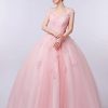 Quinceanera Dresses Lace Prom Ball Gown Sweet 16 Princess Dresses