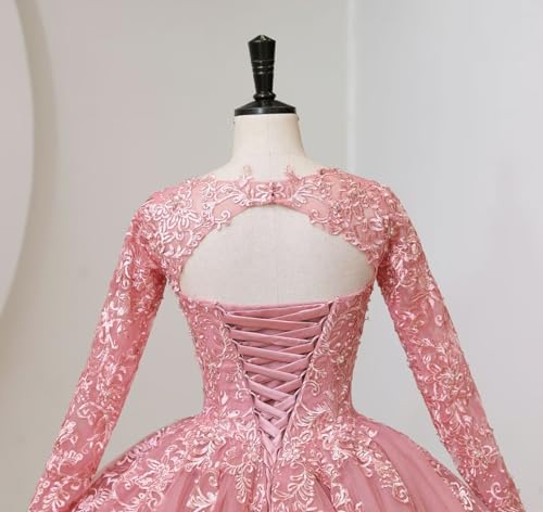 41CpYaaUXL.jpg Juniors' Long Sleeve Quinceanera Dresses V Neck Puffy Ball Gown Sweet 16 Lace Prom Dresses for Teens