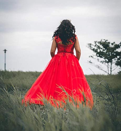 Ball Gown Quinceanera Dresses Sweet 16 Prom Party Princess Dress for Teens